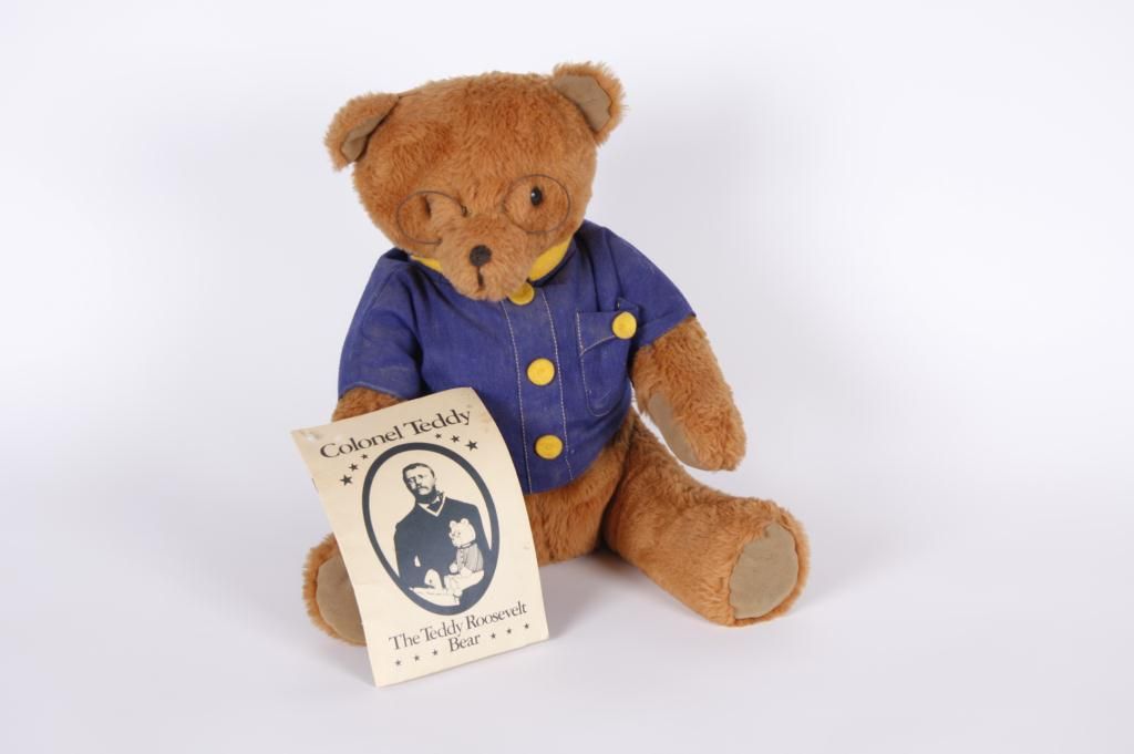 teddy roosevelt bear cub